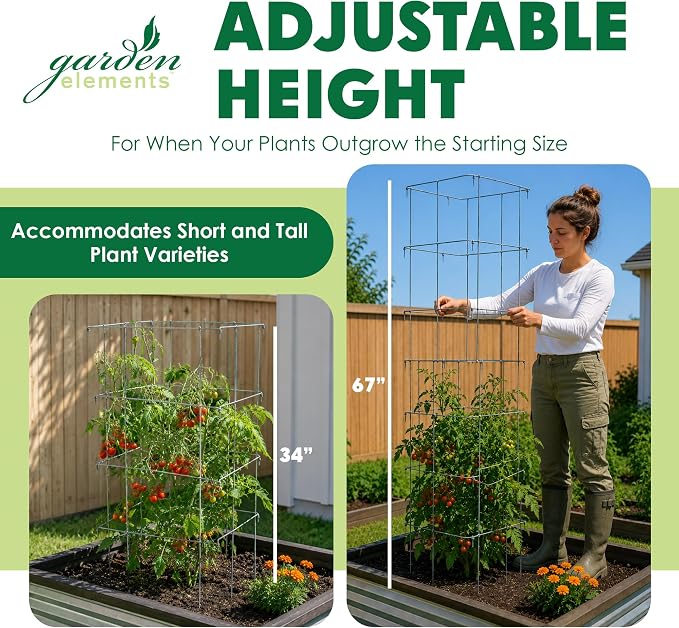 Garden Elements Square Tomato Cage, 67 Inch (Pack of 2) - Heavy Duty Galvanized Steel Plant Support with Adjustable Height and 8-Leg Stability for Climbing Vegetables & Vines