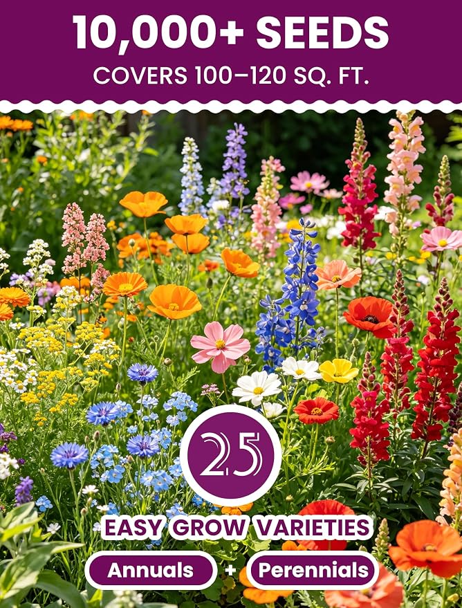 Bee & Butterfly BFF Wildflower Seed Mix – 25 Heirloom Varieties Annual + Perennial, 10,000+ Seeds (40g) Covers 100-120 sq.ft. – High Germination for Outdoor Pollinator Garden