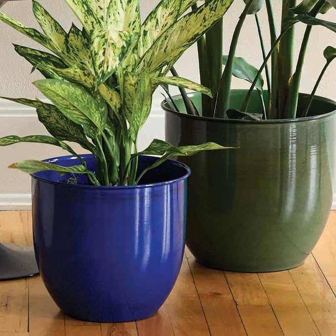 Bloem Canyon 8" Indoor Metal Cachepot - Glossy Decorative Planter with Powder-Coated Finish, Removable Drain Plug, Cobalt