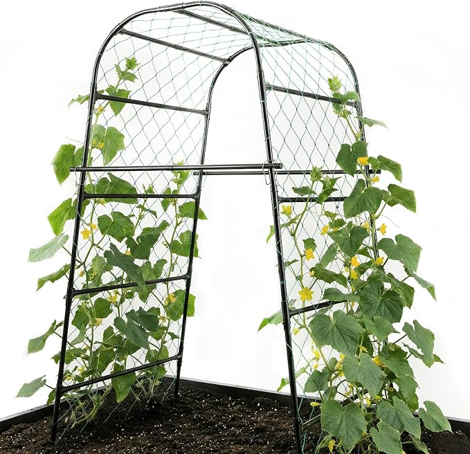 Extra Tall Garden Arch Trellis for Cucumber, Heavy-Duty Rust-Resistant Powder-Coated Steel, Vertical Support for Large Vining Vegetables (47”W x 79”H)