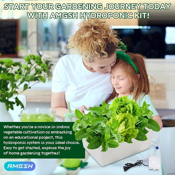 Hydroponics Growing System Kit with Air Pump, Bubble Stone | 12-Hole Indoor Hydroponic System Grow Box, Indoor Gardening System & Hydroponic Kit Vegetable & Herb Garden Starter Kit