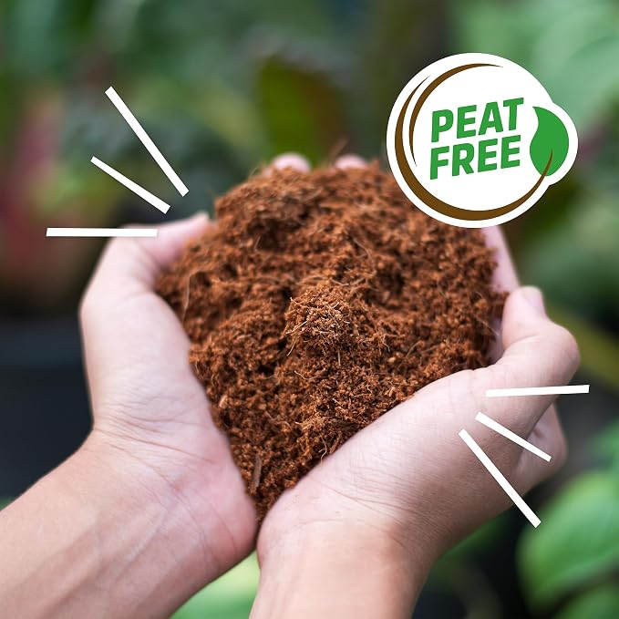 Back to The Roots Organic Coir, 51 Quart Expanding Soil, Great for Seeds and Potting (Pack of 4)