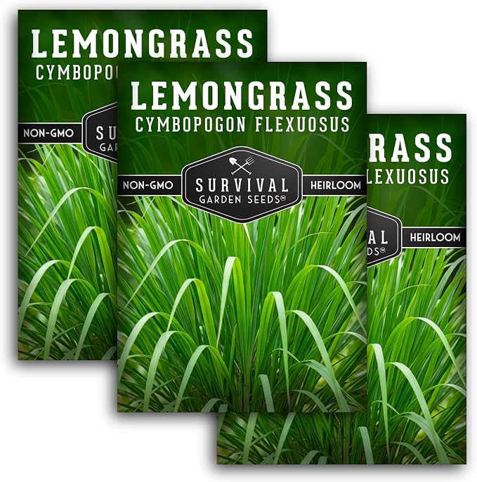 Lemongrass Seeds for Planting - Heirloom Asian Lemon Grass Seed - Fragrant Citrus Herb for Tea - Aromatic Garden Plant - Heirloom Non-GMO - Survival Garden Seeds (3 Packs)