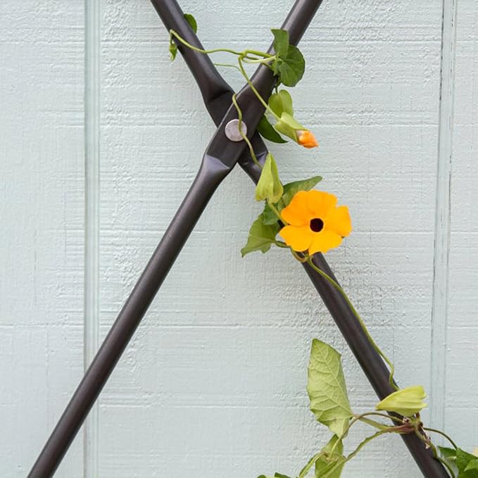 Achla FT-32G Designs Wall Mounted Lattice Garden Trellis, Graphite