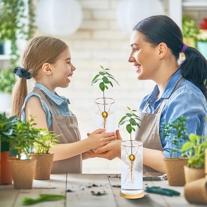 Bylion 2 Pack Avocado Tree Growing Kits - Avocado Growing Vase - Avocado Seed Starter Vase Glass Plant Pot Easy Seed Sprout Starter Gift for Women Gardening Lovers Home Office Table Decoration (Gold)
