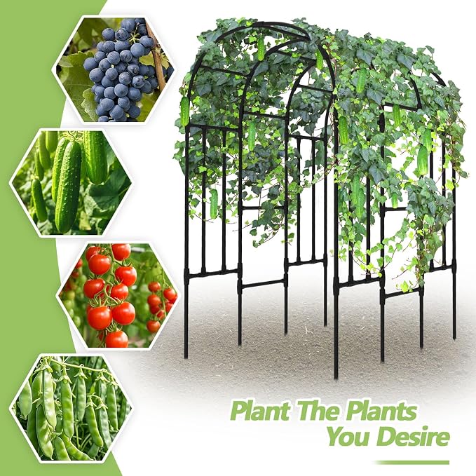 Trellis for Climbing Plants Outdoor - Cucumber Trellis for Raised Bed, Size:71 * 47 * 79 inch, Garden Trellis for Climbing Plants, Cucumber, Vegetable, Tomato, Flowers