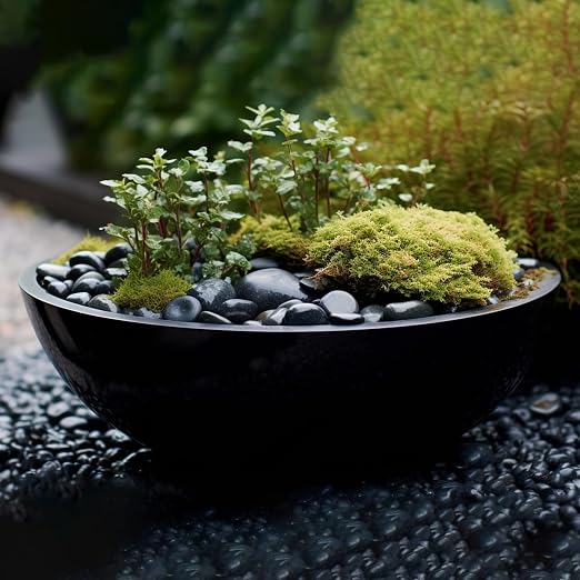 StoneCreek 12 LBS River Rocks, Large Size, Decorative Garden Stones for Plant Landscaping, Polished Gravel Filler Pebbles for Home Decoration, Vases, Succulents(Black Pebbles)
