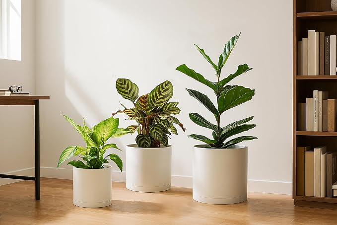 D'vine Dev 6.5 Inch 8 Inch 10 Inch, Set of 3 Plastic Planter Pots for Plants with Drainage Hole and Seamless Saucer, Oatmeal, Large, 74-V-H-4