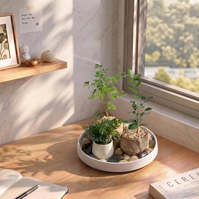 saffruff White Ceramic Plant Saucer 10 Inch, Sturdy Plant Pot Tray Plate for Flower Pots, Round Ceramic Saucer Tray to Catch Water Drip & Drainage, Indoor Outdoor Planter Base