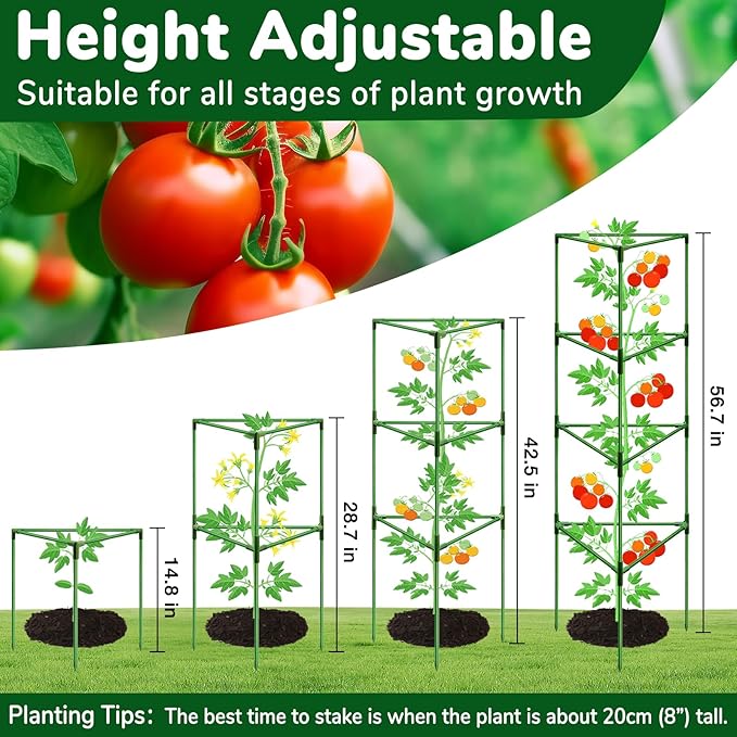 [Upgraded] ZeeDix 2 Pack Heavy Duty Tomato Cages for Garden, 57 Inch Foldable Plant Support Stakes for Heavy Climbing Plants, Adjustable Tomato Trellis for Pots Indoor & Raised Garden Bed Outdoor