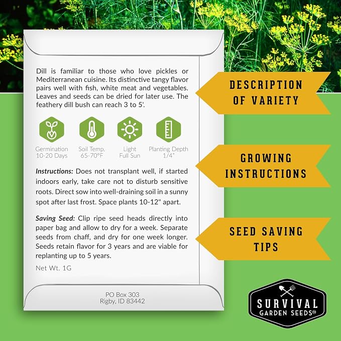 Dill Seeds for Planting – Bouquet Dill Seed to Plant for Pickling & Fresh Cooking, High Germination Non-GMO Heirloom Herb for Outdoor Growing – Survival Garden Seeds (2 Packs)