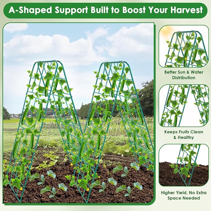 2 Pack 50"x17" Heavy Duty Metal Cucumber Trellis for Raised Bed, A Frame Garden Trellis for Climbing Plants Outdoor, Plant Trellis for Tomato Bean Pea Grape, Adjustable Vegetable Trellis Support