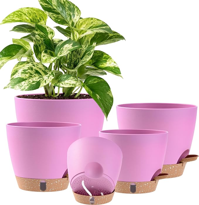 Self Watering Pots for Inoor Ourdoor Plants 8/7/6.5/6/5 Inch Plastic Planters with Drainage Holes & Water Level Indicator, Decorative House Flower Nursery Planting Pots with Saucers (Dusty Rose/Pink)