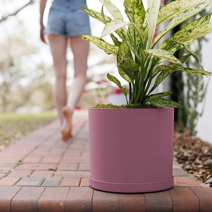 Bloem Mathers 12" Plastic Planter - Modern Indoor Pot with Drainage Holes and Saucer Tray, Dusty Rose