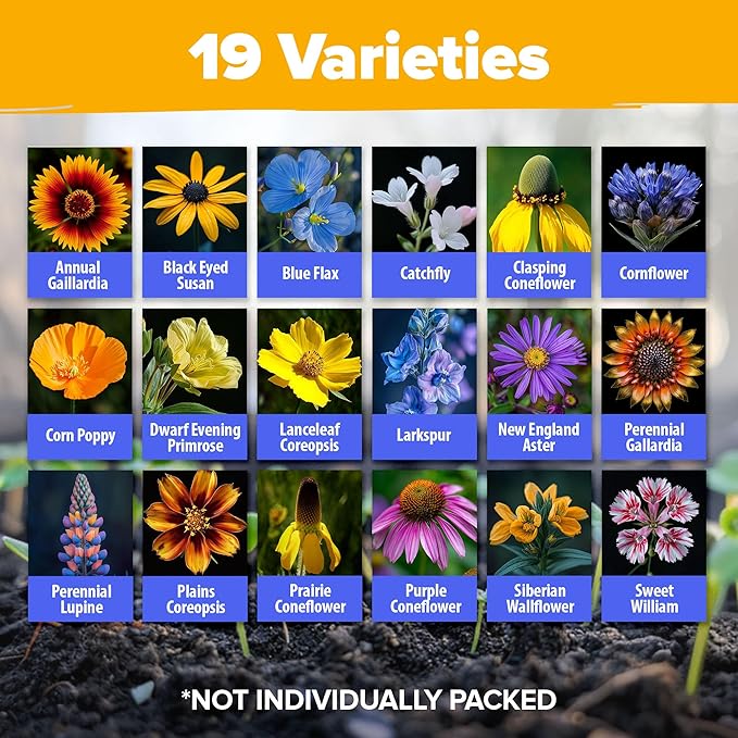 HOME GROWN Midwest Wildflower Seeds Bulk Mix | 32,500+ Open Pollinated Perennial & Annual Flower Seed for Planting | 15 Varieties for Attracting Bees & Butterflies | 2 oz