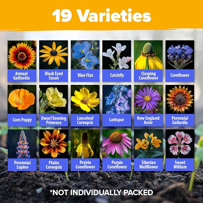 HOME GROWN Midwest Wildflower Seeds Mix | 65,000+ Heirloom Perennial Flower Seed for Attracting Bees, Birds & Butterflies | High Germination Bulk Planting | 4 oz