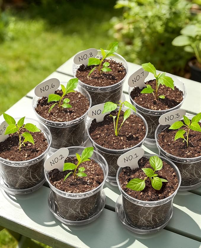 homenote 3/4/5/6 Inch Clear Nursery Pots 20 Pack with Drainage and Plant Saucers, Variety Pack Rigid High-Transparency Plastic Nursery Pots for Plants, Planter Nursery Pots with 10 Labels