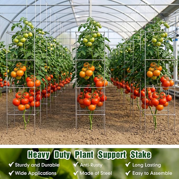 Hicarer 16 Pack Square Tomato Cage Heavy Duty Tomato Cages for Garden Vegetable Plant Trellis Stakes Plant Support Stake Tower for Climbing Vegetables Plants Flowers Fruit (11.5 x 46 Inches,Silver)