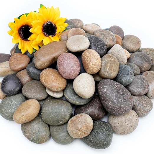 NUPICK 6lb Mexican Beach Pebbles, 2-3" Large River Rocks for Landscaping, Smooth Garden Rocks for Outdoor Paving, Natural Pebbles for Indoor Plants, Decorative Stones for Planters, Fish Tank, Fountain