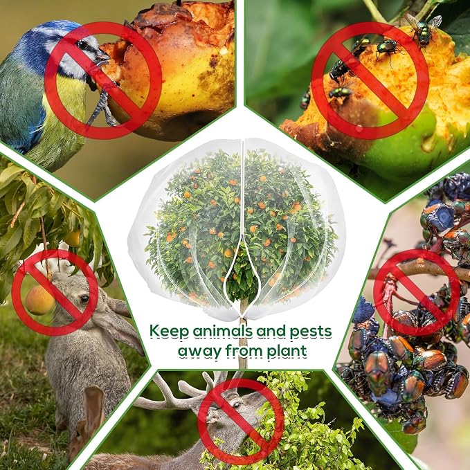 5.9 x 5.9 ft Fruit Tree Netting Cover with Zipper and Drawstring,Gardens Insect Netting Plant Cover Transparent Birds Plant Barrier Flowers Fruit Mesh Screen for Preventing Deer Squirrel Bug