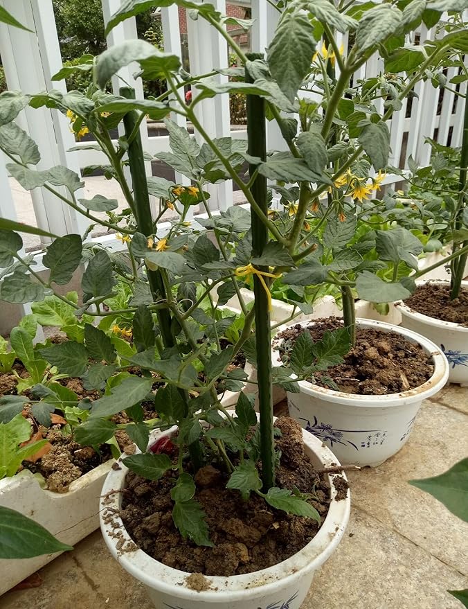 60inch/5ft Garden Stakes, 50pcs Plant Stakes, Plastic Coated & Steel Tube Plant Support, Sturdy Tomato Sticks for Garden