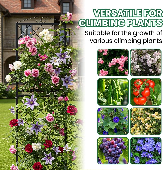 SUNYRISY 2Pack Metal Garden Trellis for Climbing Plants Outdoor, 71x20in Metal Plant Support for Flowers Tomato Cucumber Rose Vegetable Garden Courtyards Lawns Decoration