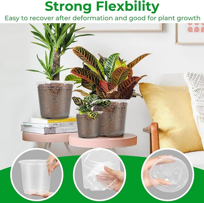 FUIJOL 10 Inch Large Clear Nursery Pots with Drainage, 5 Pack Clear Plastic Nursery Pots for Plants, Garden Seedling Starter Plant Pots for Succulents, Flower & Vegetable (10inch-5Pack)