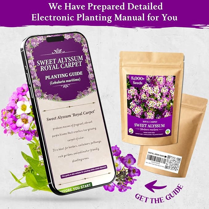 8000+ Purple Sweet Alyssum Seeds for Planting - Royal Carpet Alyssum Flower Seeds, Fragrant Ground Cover for Outdoor Gardens, Borders, Containers & Rock Gardens, Attracts Bees & Butterflies
