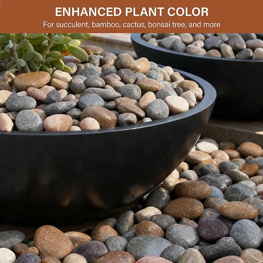 NUPICK 6lb Mexican Beach Pebbles, 2-3" Large River Rocks for Landscaping, Smooth Garden Rocks for Outdoor Paving, Natural Pebbles for Indoor Plants, Decorative Stones for Planters, Fish Tank, Fountain