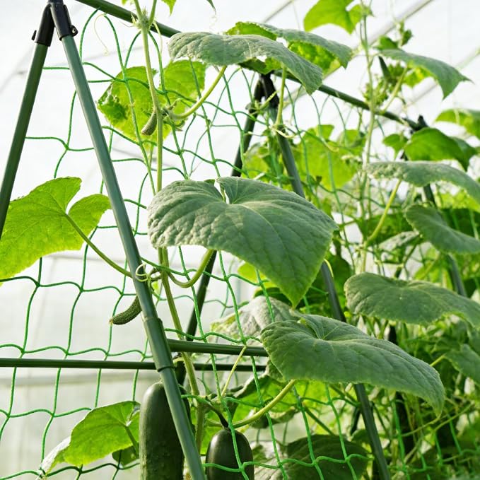Garden Plant Stakes 58inch (Approx 5FT) 50 Pack Tomato Stakes, Sturdy Tomato Stakes Plastic Coated Metal Plant Supports Plant Support Sticks for Gardening (5FT-50 Pack)