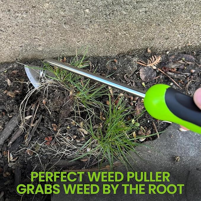 Garden Guru Patio Crack Weeder, Dandelion & Root Weeder Tool - Stainless Steel Weed Puller w Ergonomic Handle for Patio Sidewalk Driveway Cracks, Planting, Weeding, Flower & Vegetable Garden Care