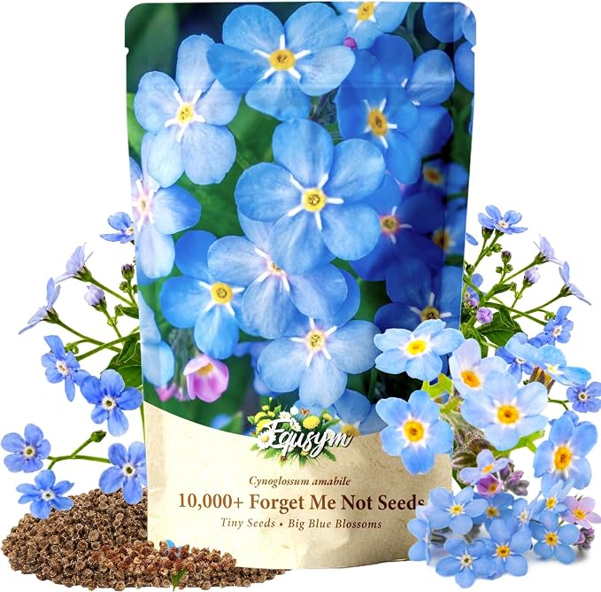 10,000+ Forget-Me-Not Seeds Bulk for Planting - Cynoglossum amabile Blue Flower Seeds, Large Pack for Cottage Gardens, Beds, Borders & Naturalized Areas, Pollinator Friendly