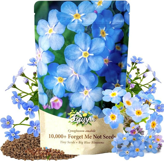10,000+ Forget-Me-Not Seeds Bulk for Planting - Cynoglossum amabile Blue Flower Seeds, Large Pack for Cottage Gardens, Beds, Borders & Naturalized Areas, Pollinator Friendly