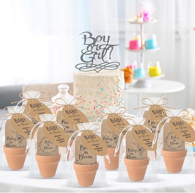 Reallnaive Baby Shower Party Favors Baby in Bloom Envelopes Seed Packets Include 24 Mini Terracotta Pots Seed Packets 24 Self Adhesive Envelopes Thank You Tags Gifts for Party(Kraft Paper)