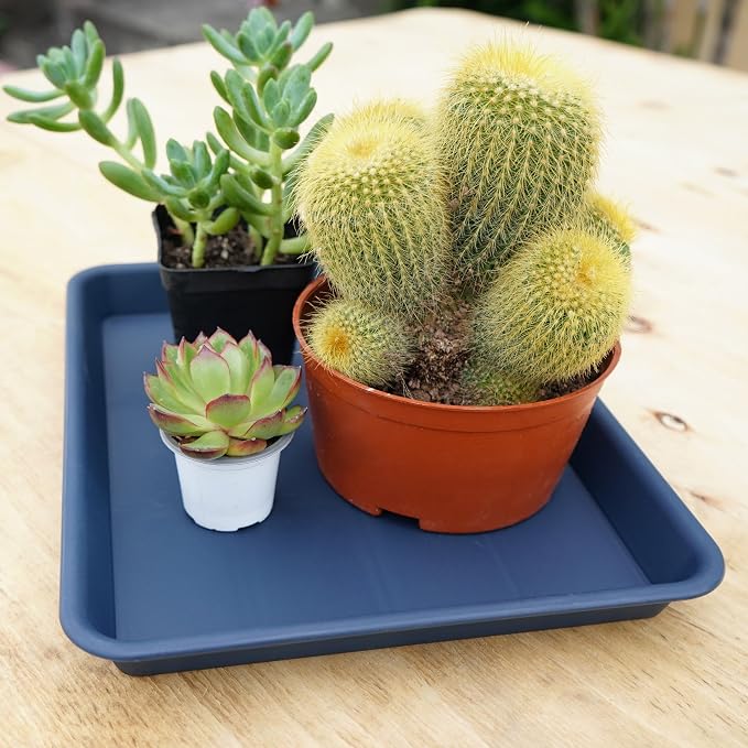 VUWEZ 4 Pack Plant Saucer Tray Rectangular, Plant Growing Nursery Trays, Heavy Sturdy Seed Starting Trays, Plant Starter Trays for Indoors No Holes, Seed Starter Growing Tray (17.5"x10.6", Blue)