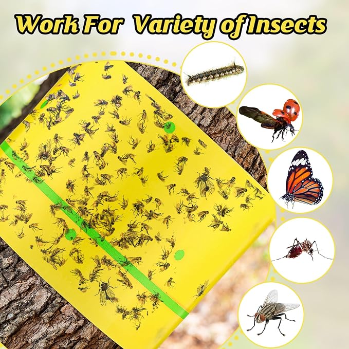 Qualirey 6 Rolls Spotted Lantern Fly Traps 30 Feet Each Roll Fly Tree Trap Sticky Strips Outdoor Fruit Glue Strips Disposable Tape Indoor Paper Sheets for Protecting Trees(Classic Color)