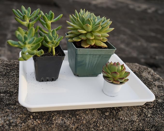 VUWEZ Plant Saucer Growing Tray, Seed Starter Tray Rectangular, Heavy Sturdy Plastic Plant Saucers Drainage Trays, Plant Drip Trays for Pots, Seed Starter Growing Pots (11 x 9 inch, 2 Pack)