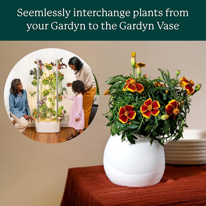 Gardyn Vase Complete Kit - Red Amaranth | Designed for use with Gardyn hydroponics growing system kits & vertical garden hydroponic gardens, indoor plants
