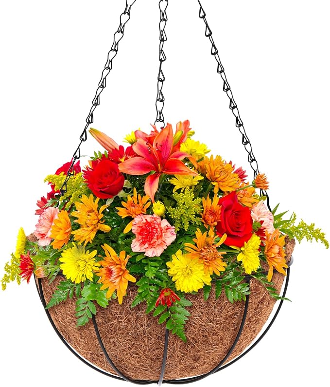 Dandat 1 Piece 10 Inch Metal Hanging Planter Basket with Coconut Coir Liner Metal Wire Plant Holder Chain Watering Outdoor Hanging Pots Flower Pot Hanger for Porch Indoor Outdoor Garden Decorations