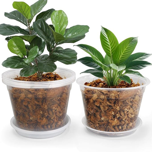 8 Inch Clear Nursery Pots with Drainage and Saucers, 5 Pack Large Clear Plastic Nursery Pots for Plants, Seedling Plant Pots for Repotting and Growing Plants, Flowers & Vegetables(8 inch)