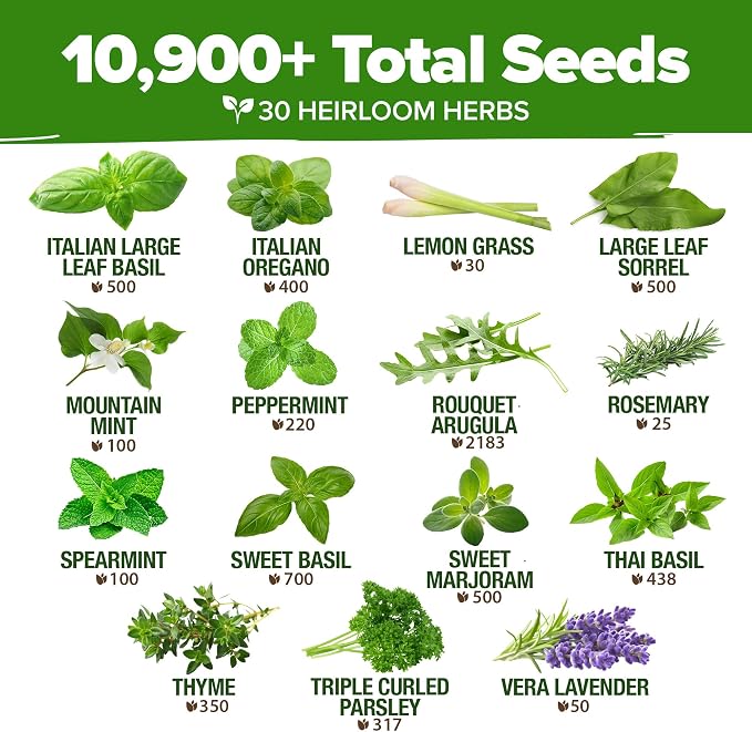 HOME GROWN 30 Herb Seeds for Planting 10,900+ Non-GMO Heirloom Seeds | Extra Large Variety Pack Herb Kit – Indoor Outdoor & Hydroponic | Culinary Seed Set | Grow Your Own Herbs | Gardening Gift