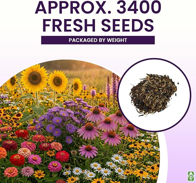 Fall Blooming Mix of Wildflowers