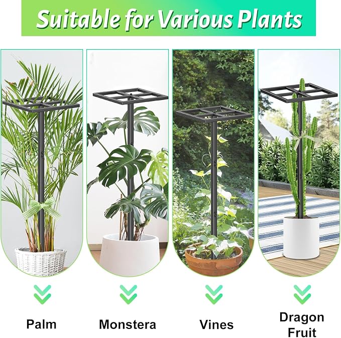 2 Pcs Metal Dragon Fruit Trellis, Durable Adjustable Dragon Fruit Stand Gardening Support for Vertical Climing Plants Trees Cactus Garden Outdoor Indoor Potted Support 8''×12''×45''