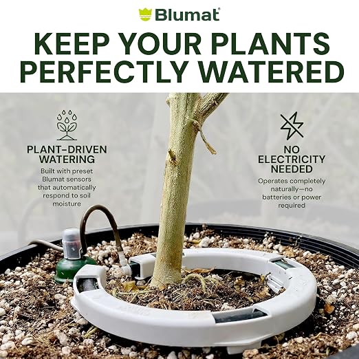 Grow Tent Drip Irrigation System - Blumat Watering Kit for 4 Large Pots (10-20 Gallon) - Automatic Grow Tent Watering System with Efficient Preset Blumat Sensors (Bucket not Included)
