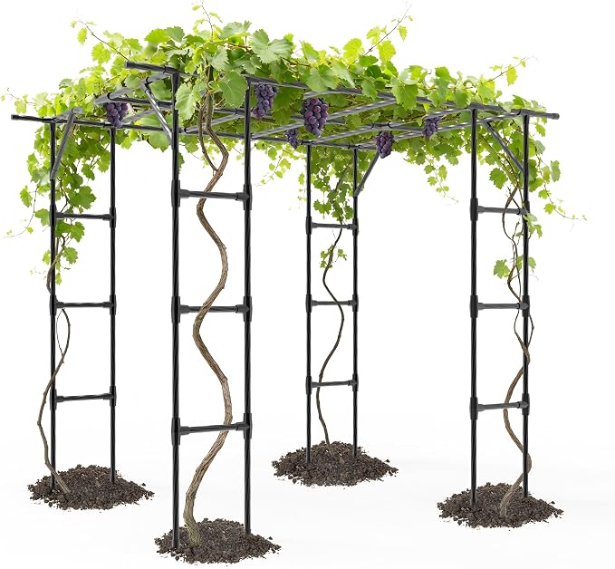 Grape Vine Trellis - Cucumber Trellis Size: 95.7 * 61.6 * 78.5 inches - Large Outdoor Garden Arch Trellis, Used for Outdoor Climbing of Plants, Courtyard and Garden Decoration (Leg spacing 80")