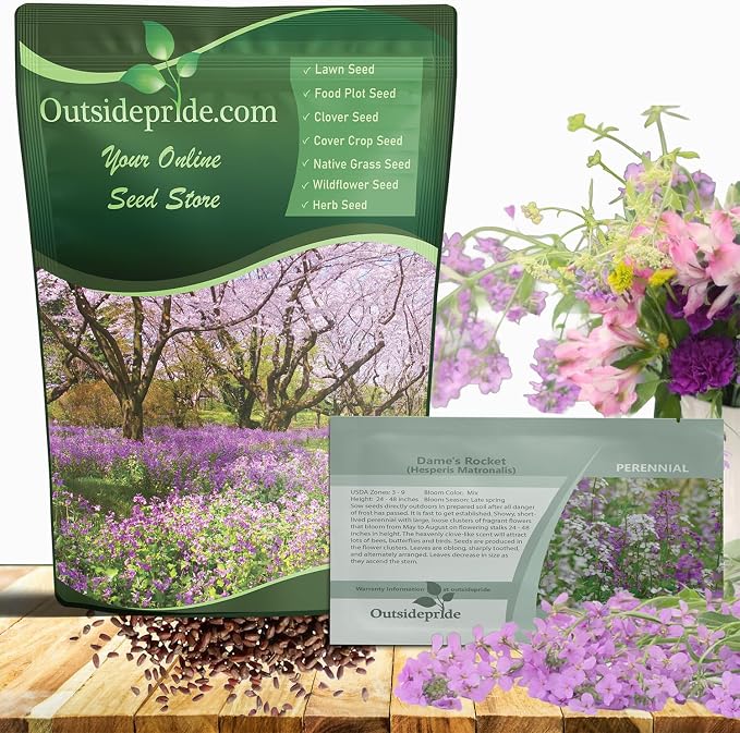 Outsidepride Dame's Rocket Flower Seeds - 5 Lbs. Perennial, Easy to Grow, Deer Resistant & Self-Seeding Wildflower Seeds for Planting Vibrant and Fragrant Blooms in Pollinator & Butterfly Gardens
