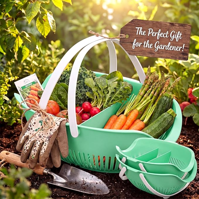 Nuogo 3 Pcs Garden Harvest Basket Removable Partitions with Tool Caddy for Collecting Carrying and Cleaning Harvesting Basket Doubles Colander for Vegetables and Fruits Garden Accessories (Sage Green)