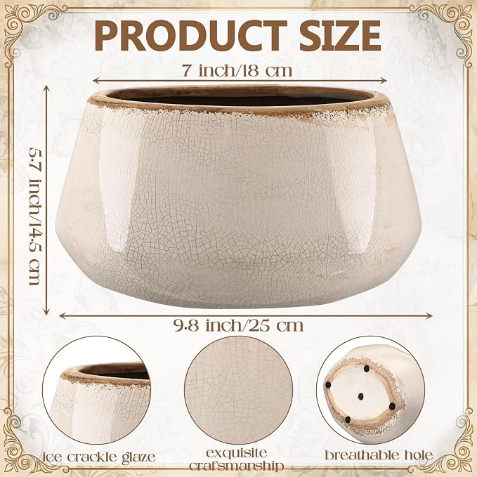 9.8 Inch Large Vintage Ceramic Planter Ice Crack Glaze Gray Peony Flower Pot with Drainage Holes Rustic Country Plant Pots Decorative Gifts for Home Kitchen Office Indoor Outdoor Plants