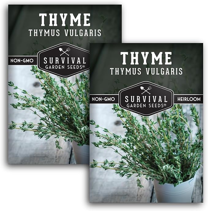 Thyme Seeds for Planting – Survival Garden Seeds (2 Packs) | English Thyme Seeds (Thymus Vulgaris) for Home Herb Gardens, Pots, and Kitchen Windowsills – Heirloom, Non-GMO