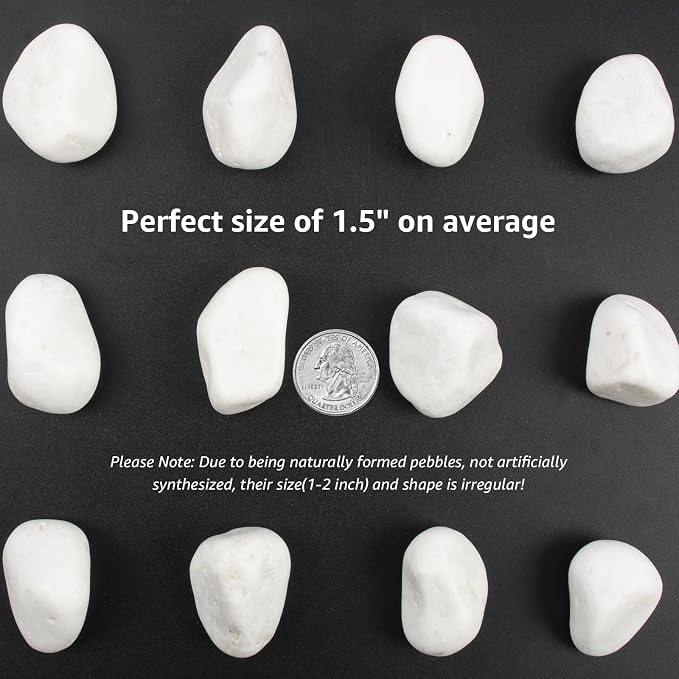 40lbs White Natural River Rocks, Polished Pebbles for Plants Garden, 1-2 inch Decorative White Stones, Ideal for Fish Tank, Vases, Crafting, Home Decor and Garden Landscaping Rocks,White